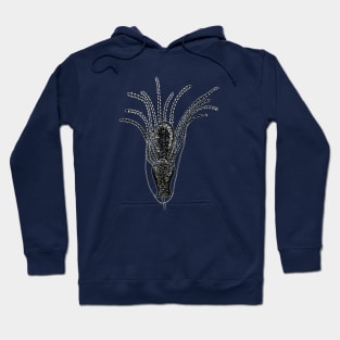 Hydroid Hoodie